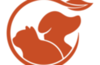 Royal Canin Kitten hrana uscata pisica junior 10kg