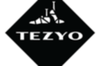 Cercei ALDO aurii Cercei ALDO aurii dama