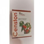 Censton hrana creierului 30cps BIO VITALITY – Remediu.ro