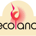 Decolandia.ro