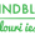 Mindblower.ro