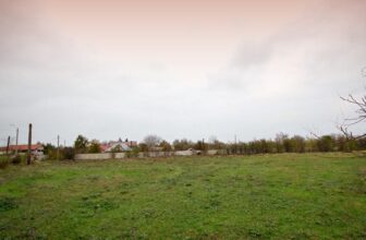 Inchiriere Teren Intravilan 10.000 mp 1500 Euro