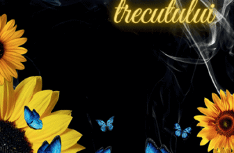 În umbra trecutului – vol. II