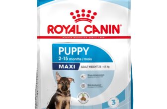 Royal Canin Maxi Puppy hrana uscata caine junior 12kg