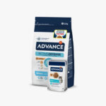 Hrana uscata pentru pisici Advance Kitten 1.5kg + 2 Wet Kitten Pui