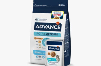 Hrana uscata pentru pisici Advance Kitten 1.5kg + 2 Wet Kitten Pui