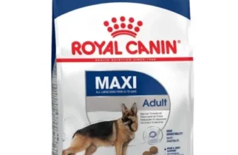 Hrana uscata pentru caini Royal Canin Maxi Adult 12 kg