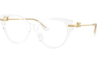 Dolce & Gabbana DG3438 3133