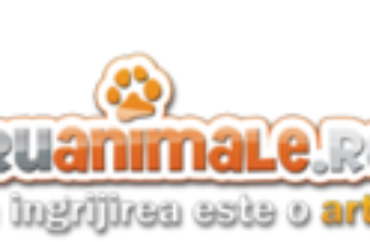 PURINA Pro Plan Hydra Care, Somon, plic hrană umedă pisici, sistem urinar, (topping), 75g x 10buc