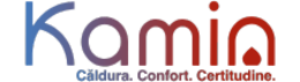 kamin.ro