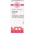 Baptisia D 6 Tabletten 80 St