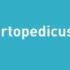 PAN MIĘSKO Hrană umedă pentru pisici cu curcan și iepure 24×200 g