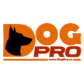 dogpro.ro