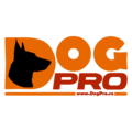 dogpro.ro