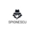spionescu.ro