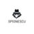 Pix cu reportofon spion integrat, D3191, 32GB memorie interna, autonomie 10 ore, raza inregistrare 15m, microfon 360°, compatibil smartphone Type-C/Lightning, functie MP3 player, design elegant si discret, rose gold – Negru