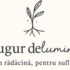 Manusi de examinare din latex pudrate Bergamot – 100 buc – 50 perechi