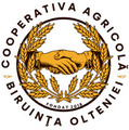 biruintaolteniei.ro