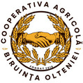 biruintaolteniei.ro