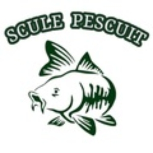 sculepescuit.ro