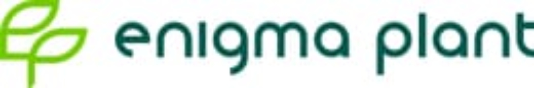 enigma-plant.ro