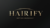 Hairify – Fibre de păr (27.5 Grame – pentru aproximativ 2 luni) – Blond deschis