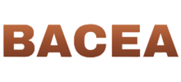 bacea.ro