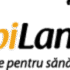 Miere Manuka MGO 850+ – 250g – Default Title