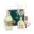 Set Cadou Green Rose Dream
