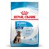 Hrana uscata pentru pisici Advance Kitten 1.5kg + 2 Wet Kitten Pui