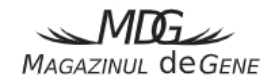 Magazinuldegene.ro